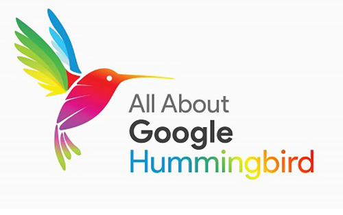 Google Hummingbird