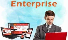 Enterprise Website package